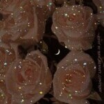 Upload your profile picture