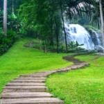 waterfall-nature-thailand_335224-989